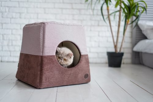 Harley & Cho Будиночок трансоформер Cabrio Brown Velvet