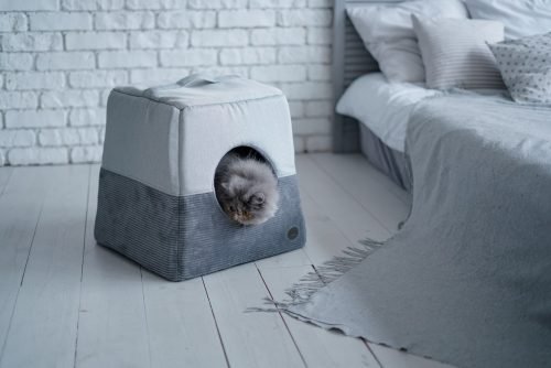 Harley & Cho Cabrio Gray Velvet