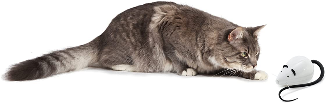 PetSafe FroliCat Rolorat Автоматична мишка іграшка для котів - Зображення 2