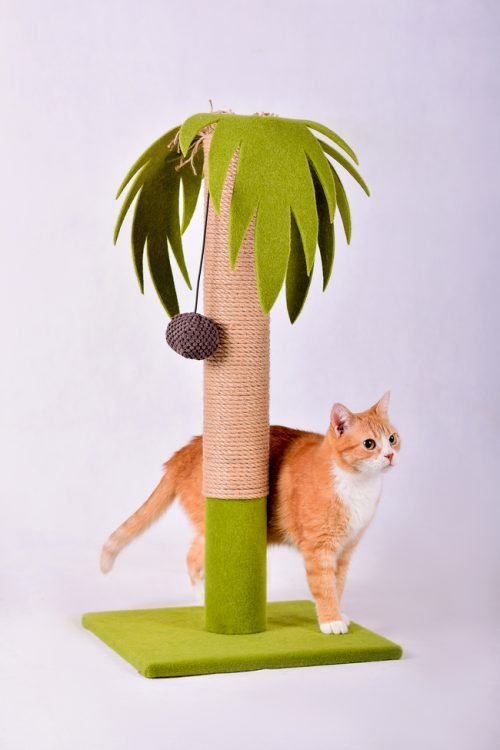 Kareline Дряпка Пальма для котів