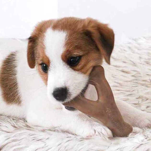 Benebone Puppy Wishbone Bacon Жувальна іграшка зі смаком бекону для цуценят - Зображення 2
